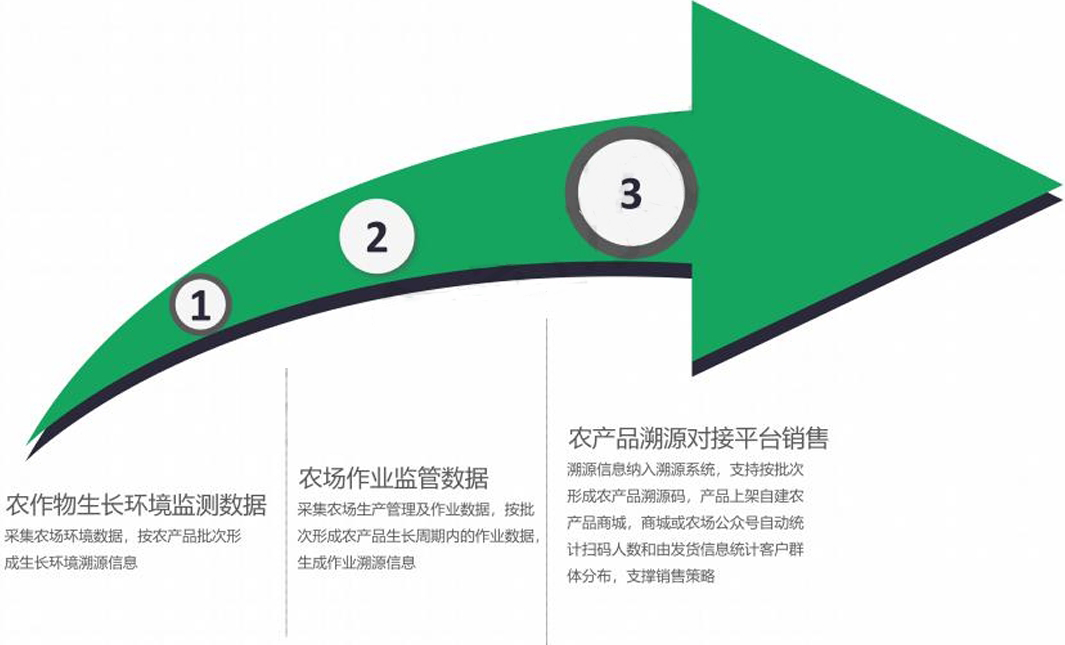 产品溯源全过程